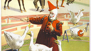 PETA Targets Ringling Bros. Game